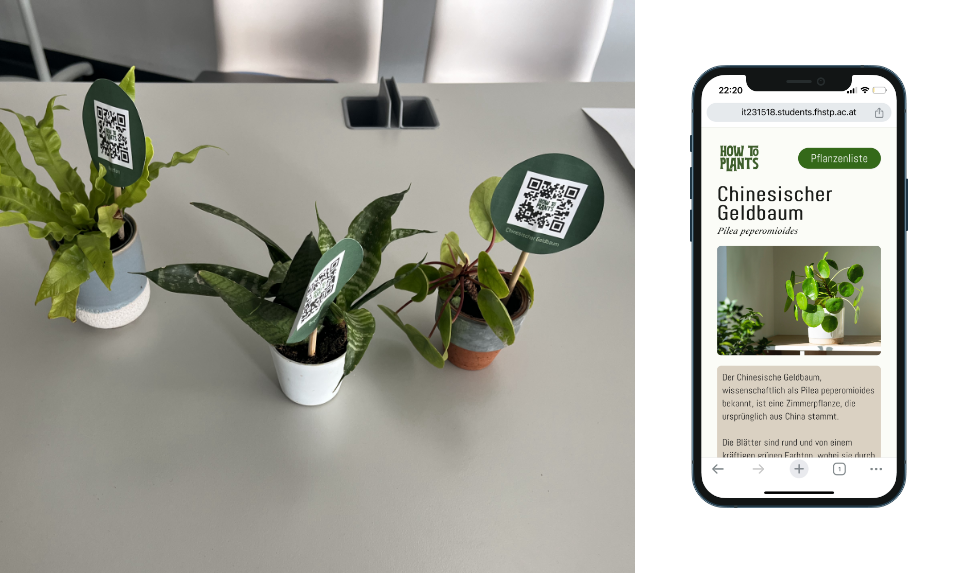 How To Plants – Pflanzenpflege leicht gemacht